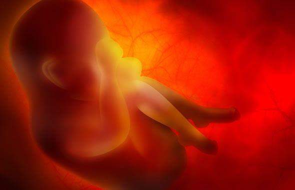 aborto spontaneo, foto di un bambino
