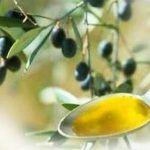Immagine Olio d'Oliva:Proprietà e benefici