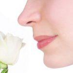 Immagine Idratare la pelle: maschera viso fatta in casa