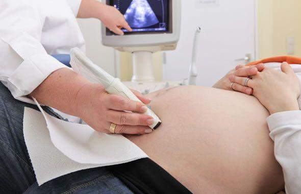 Erbe curative allatto di cura di eczema