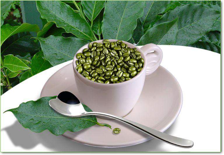 come prendere il tè verde in capsule dimagranti