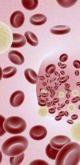 Piastrinopenia o piastrine basse quando preoccuparsi? Cause, sintomi e